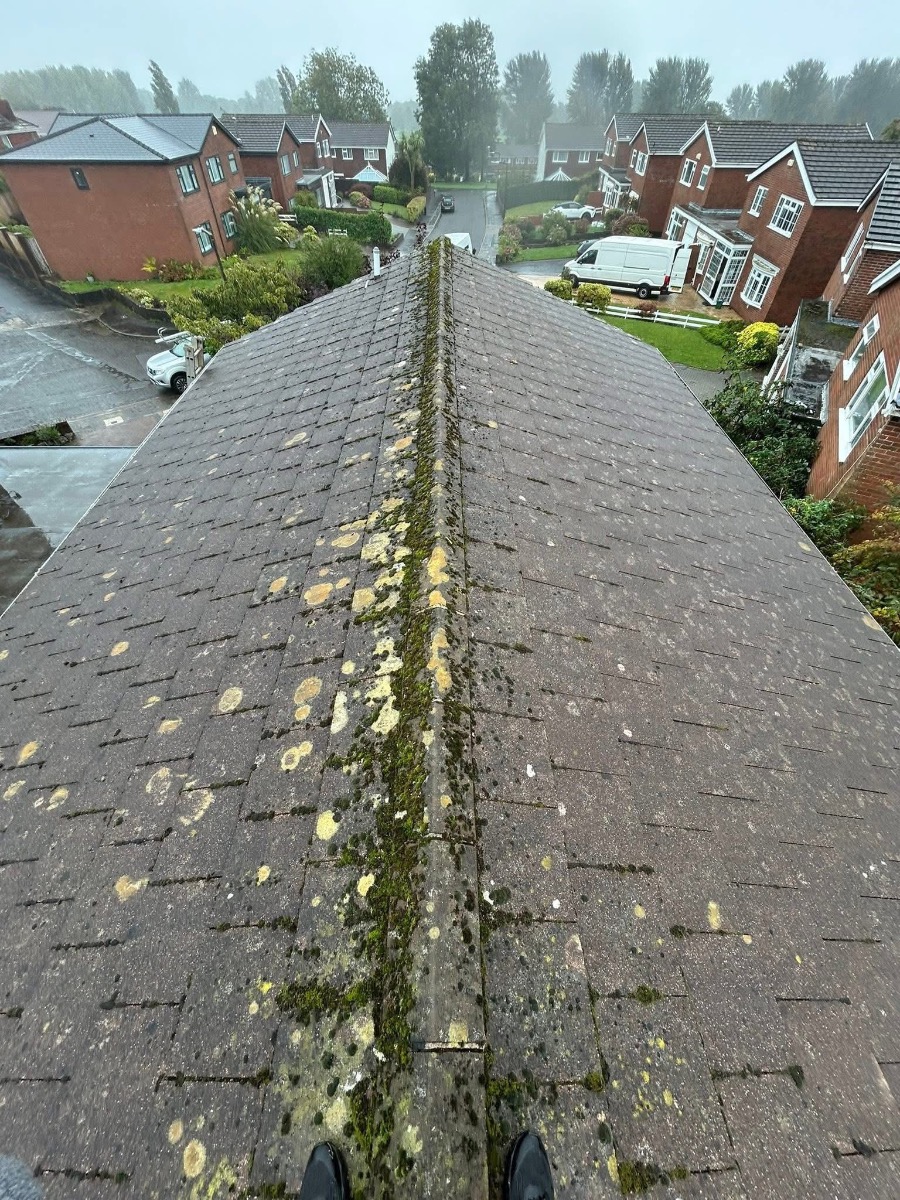 Roofer: Image 4
